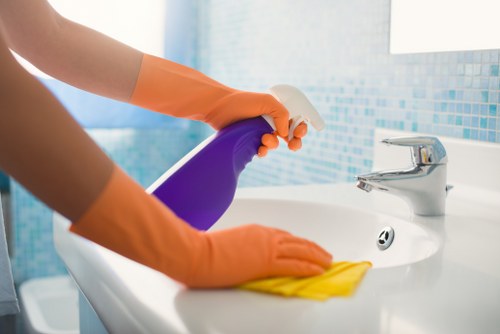 Pet stain odour removal treatment on carpet with cleaning tools