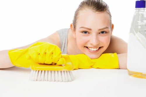 Professional steam carpet cleaning removing deep dirt from carpet fibers