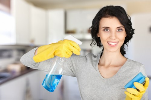 Carpet and upholstery stain removal for household spills