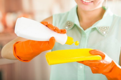 Professional rug cleaning for stains and odors