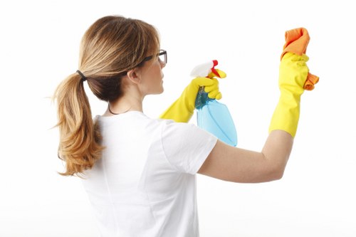 Professional upholstery care for a refreshed sofa