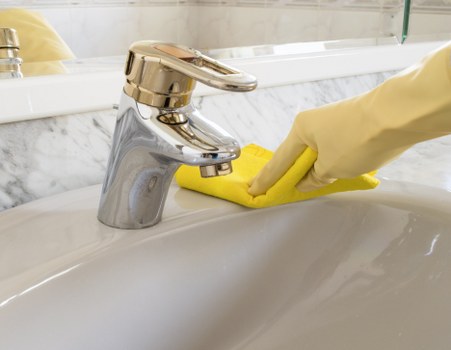 Removing pet odor from fabric sofa using a safe cleaner